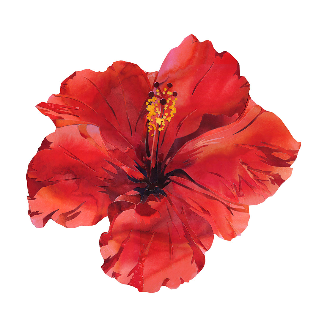 Hibiscus Print – Best Lane Studio