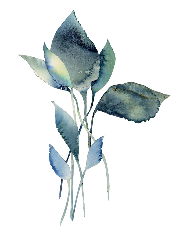 Blue Leaves
