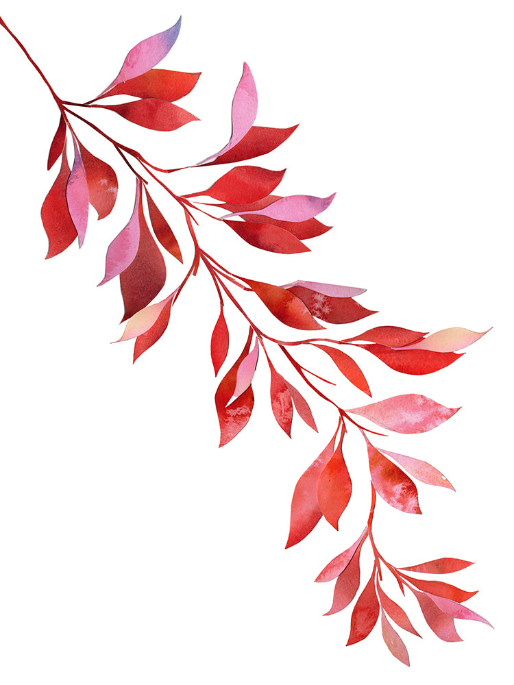 Red Leaves Print